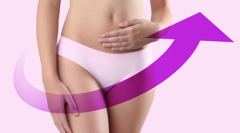 Barbie Vajina Estetiği Nedir?